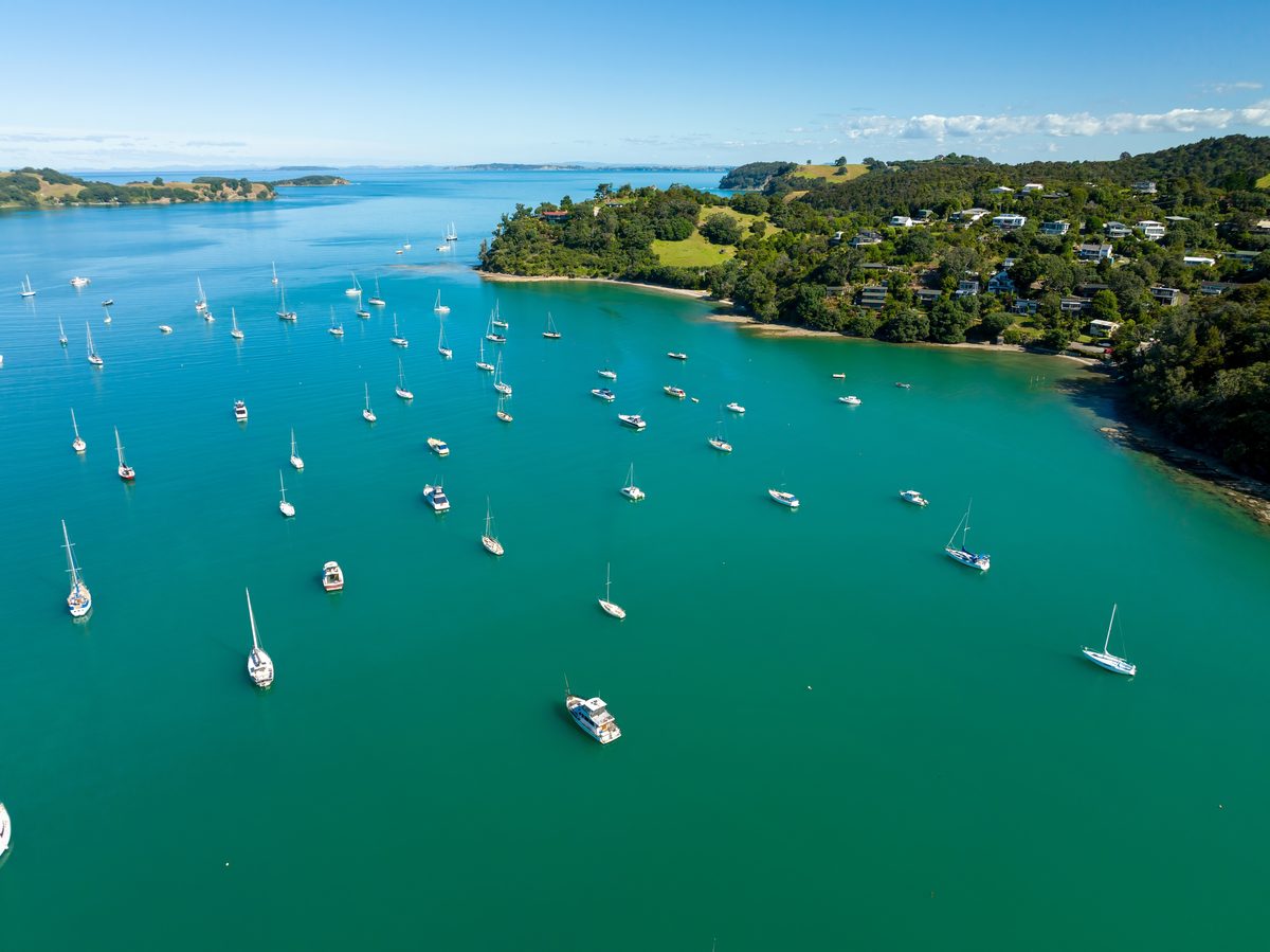 Aerial view of yachts and launches moored in a calm green bay below a bush-covered headland with houses